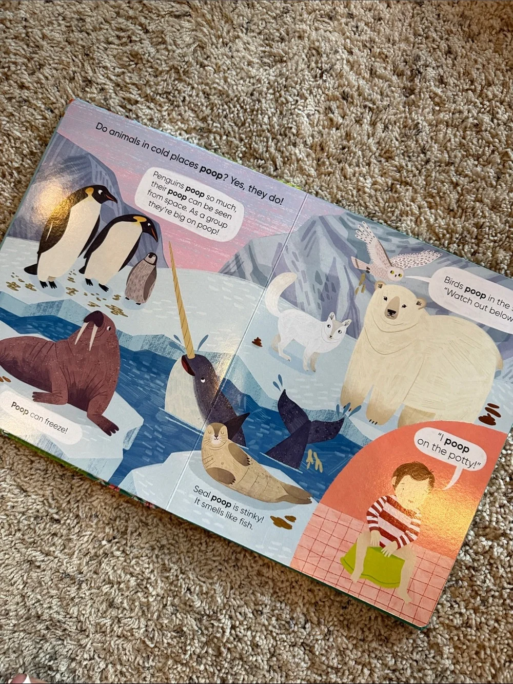 3/$25 🪩 Potty Training XL Board Book | Toddler Lift the Flap Book